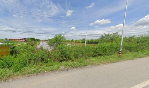 Vacant land with greenery