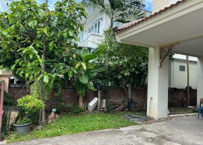 Outdoor garden and driveway