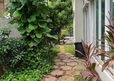 Garden pathway beside house with lush greenery