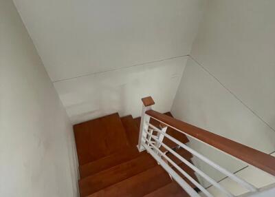 Interior staircase with wooden steps and white railing