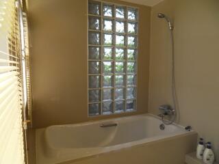 Bathroom with bathtub and glass window