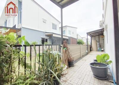 Backyard area with plants and outdoor space