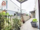 Backyard area with plants and outdoor space