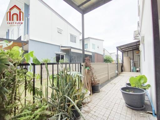 Backyard area with plants and outdoor space