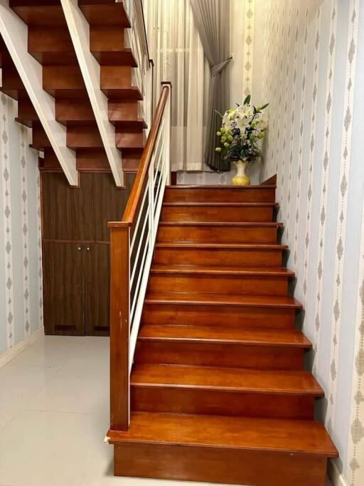 Staircase with wooden steps and decorative plant