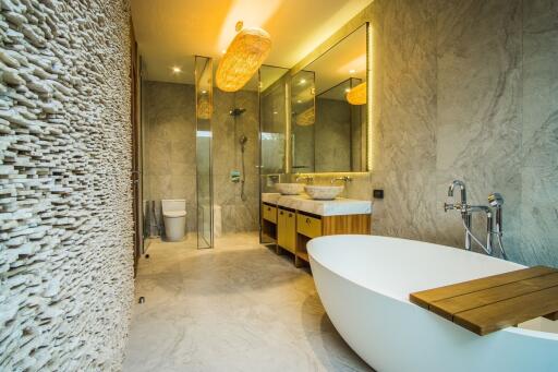 Luxurious bathroom with modern design