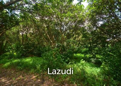 3448 SQ.M flat land in Bophut close to Fisherman!