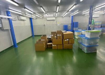 For Sale Pathum Thani Warehouse Lam Luk Ka