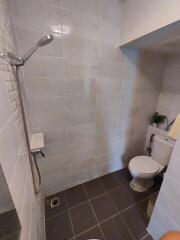 Modern bathroom with shower and toilet