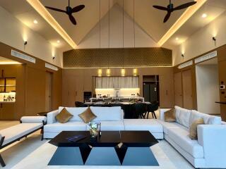 Modern living room with open kitchen and high ceiling