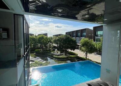 View of an outdoor swimming pool and garden