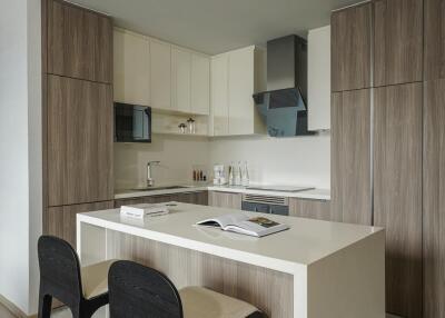 Modern kitchen with island