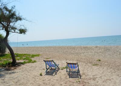 Beachfront view with lounge chairs