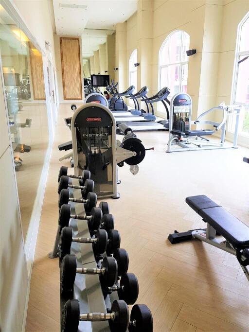 Well-equipped gym with modern exercise machines and free weights