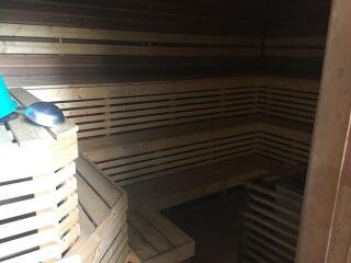 Interior view of a wooden sauna with benches.