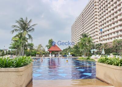 Studio Condo in Jomtien Beach Condo Jomtien C011790