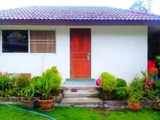 Spacious 2-storey house with garden