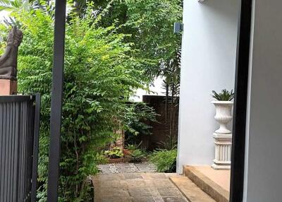 Outdoor entryway with tiled pathway and greenery