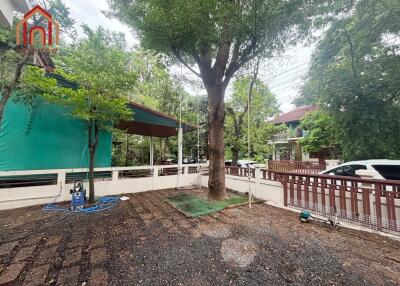 Garden with trees and fenced area