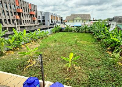 Spacious backyard with lush greenery and residential surroundings