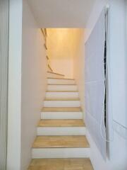 Indoor staircase with wooden steps