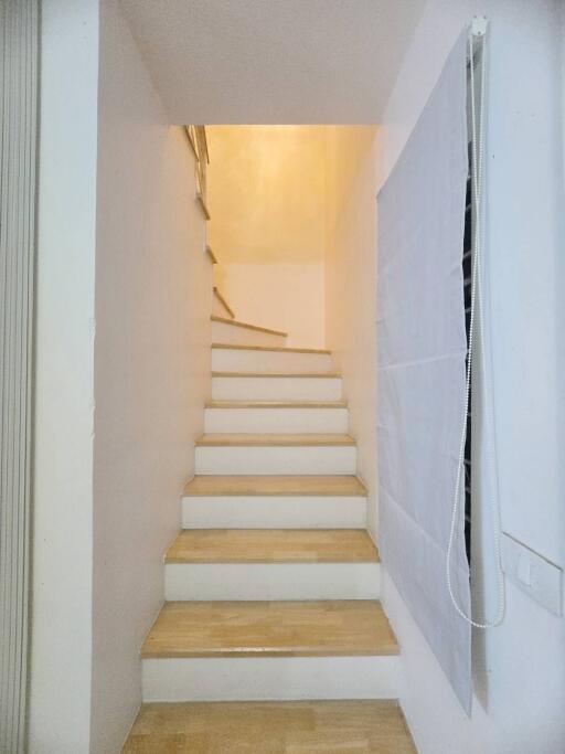 Indoor staircase with wooden steps