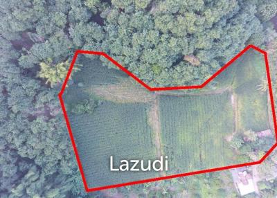 6 rai of land on Hill for Sale