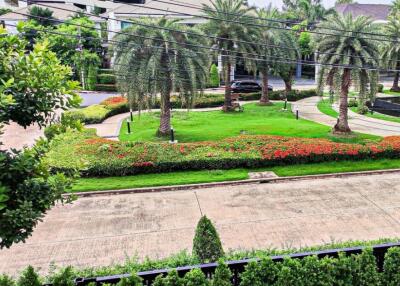 Beautifully landscaped garden with palm trees and vibrant flowers