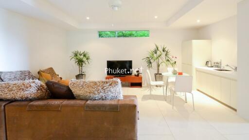 Modern living room with open kitchen area