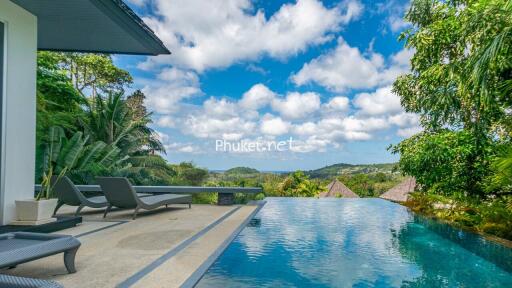 luxury pool with scenic view