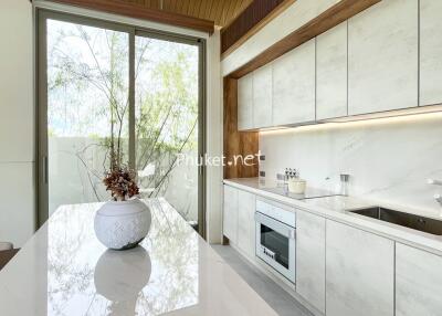 Modern kitchen with white cabinets, built-in appliances, and large window