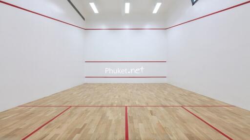 Squash Court