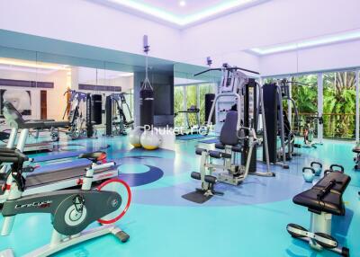 Modern gym with various exercise equipment