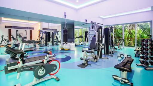 Modern gym with various exercise equipment