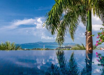 Stunning outdoor infinity pool with ocean view