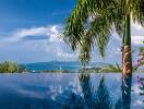 Stunning outdoor infinity pool with ocean view