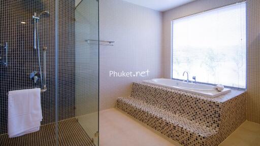 Modern bathroom with a walk-in shower and large bathtub