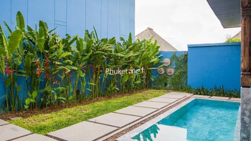 Outdoor area with pool and garden