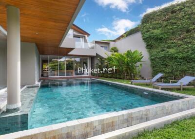 Outdoor swimming pool and garden area of a modern home