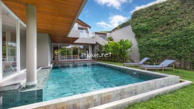 Outdoor swimming pool and garden area of a modern home