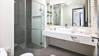 Modern bathroom with glass shower enclosure, sink, mirror, and shelving.