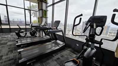 Modern gym with city view