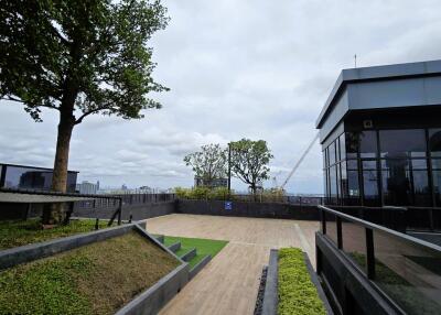 Modern rooftop garden with trees and glass building