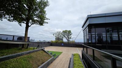 Modern rooftop garden with trees and glass building