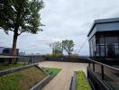 Modern rooftop garden with trees and glass building