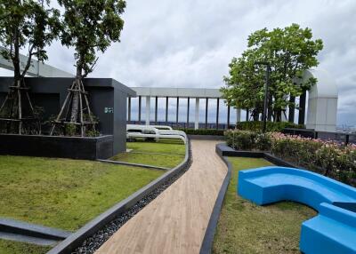 Rooftop garden with sitting area