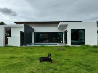 Modern house with large windows and green lawn