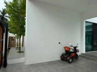 Outdoor area with scooter and tree