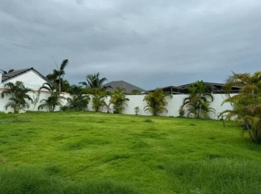 Spacious backyard with lush green lawn