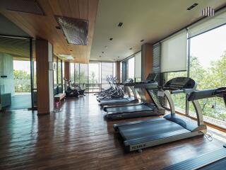 Well-equipped gym with multiple treadmills, large windows, and wooden flooring